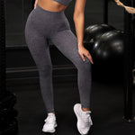 Seamless Set: Women's Fitness Leggings & Short Sleeve Top